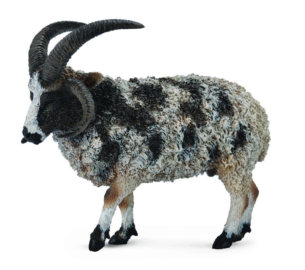 Figurina Jacob Sheep L Collecta