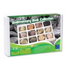 Kit paleontologie - Roci sedimentare